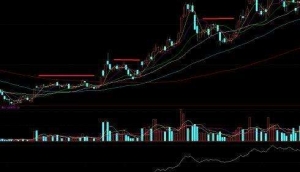 股市中的4个长线操作选股原则