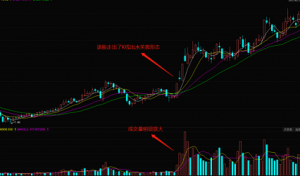 ​股市上的买进形态分析之出水芙蓉形态